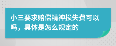 小三要求赔偿精神损失费可以吗，具体是怎么规定的