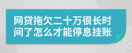 网贷拖欠二十万很长时间了怎么才能停息挂账