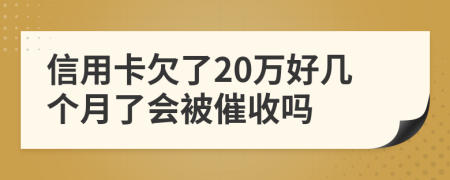 信用卡欠了20万好几个月了会被催收吗