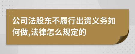 公司法股东不履行出资义务如何做,法律怎么规定的