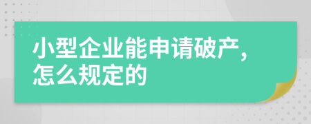 小型企业能申请破产,怎么规定的