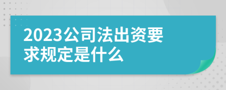 2023公司法出资要求规定是什么