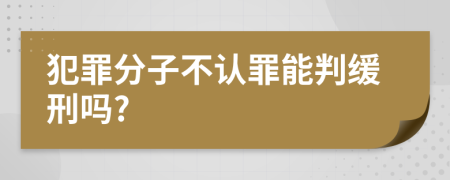 犯罪分子不认罪能判缓刑吗?