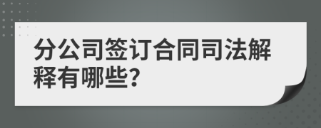 分公司签订合同司法解释有哪些？