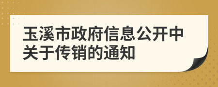 玉溪市政府信息公开中关于传销的通知