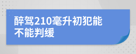 醉驾210毫升初犯能不能判缓