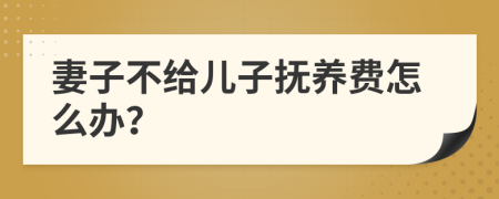 妻子不给儿子抚养费怎么办？