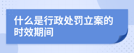 什么是行政处罚立案的时效期间