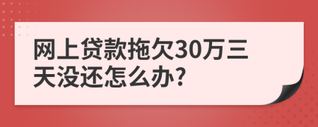 网上贷款拖欠30万三天没还怎么办?
