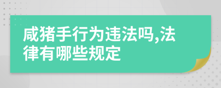 咸猪手行为违法吗,法律有哪些规定