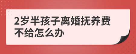 2岁半孩子离婚抚养费不给怎么办