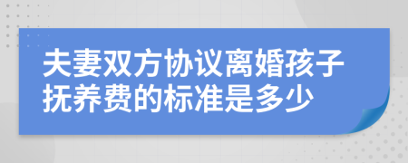 夫妻双方协议离婚孩子抚养费的标准是多少