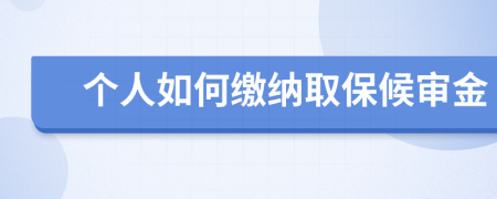 个人如何缴纳取保候审金