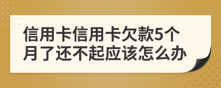 信用卡信用卡欠款5个月了还不起应该怎么办