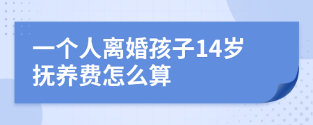 一个人离婚孩子14岁抚养费怎么算