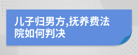 儿子归男方,抚养费法院如何判决