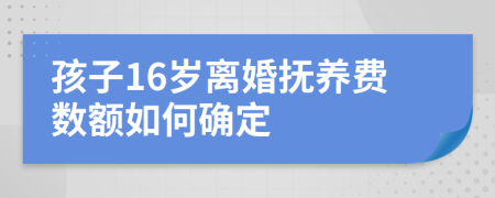 孩子16岁离婚抚养费数额如何确定