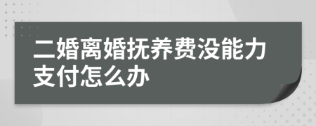 二婚离婚抚养费没能力支付怎么办