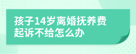 孩子14岁离婚抚养费起诉不给怎么办