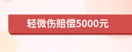 轻微伤赔偿5000元