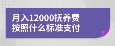 月入12000抚养费按照什么标准支付