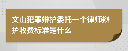 文山犯罪辩护委托一个律师辩护收费标准是什么
