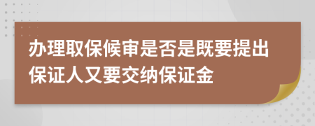 办理取保候审是否是既要提出保证人又要交纳保证金