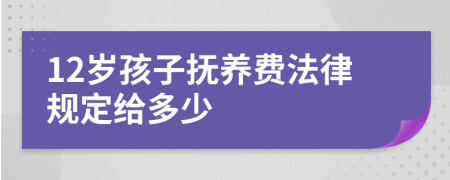 12岁孩子抚养费法律规定给多少