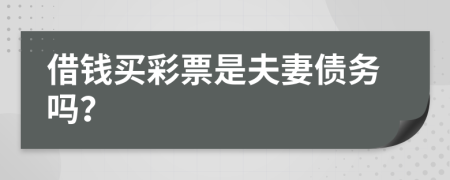 借钱买彩票是夫妻债务吗？