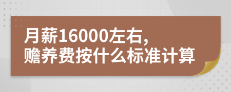 月薪16000左右,赡养费按什么标准计算