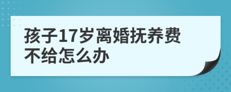 孩子17岁离婚抚养费不给怎么办