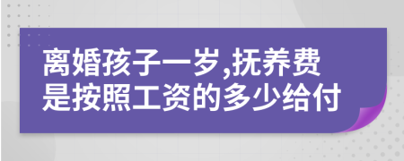 离婚孩子一岁,抚养费是按照工资的多少给付