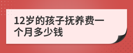 12岁的孩子抚养费一个月多少钱