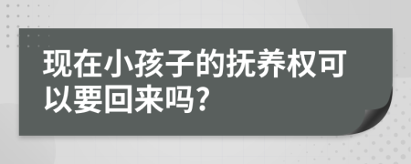 现在小孩子的抚养权可以要回来吗?