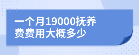 一个月19000抚养费费用大概多少