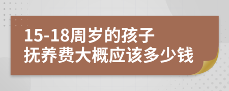 15-18周岁的孩子抚养费大概应该多少钱