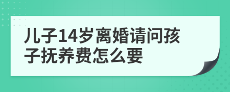 儿子14岁离婚请问孩子抚养费怎么要