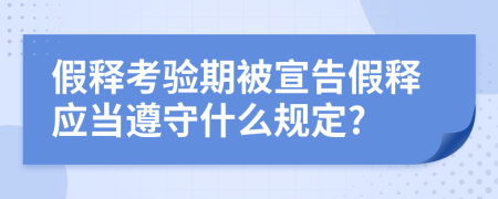 假释考验期被宣告假释应当遵守什么规定?