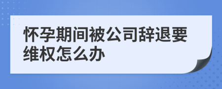 怀孕期间被公司辞退要维权怎么办