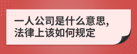 一人公司是什么意思,法律上该如何规定