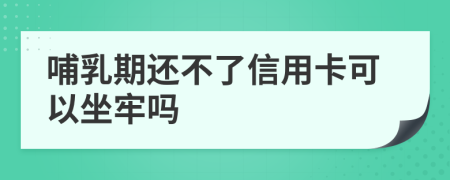 哺乳期还不了信用卡可以坐牢吗