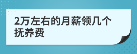 2万左右的月薪领几个抚养费