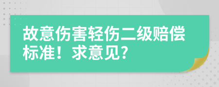 故意伤害轻伤二级赔偿标准！求意见?