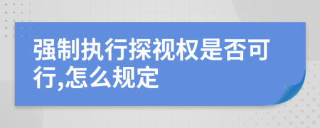 强制执行探视权是否可行,怎么规定