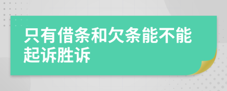 只有借条和欠条能不能起诉胜诉