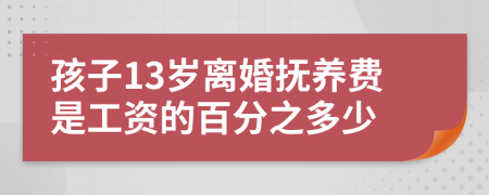 孩子13岁离婚抚养费是工资的百分之多少