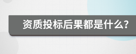 资质投标后果都是什么？