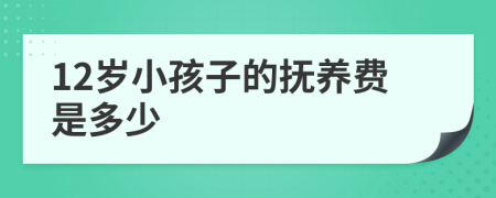12岁小孩子的抚养费是多少
