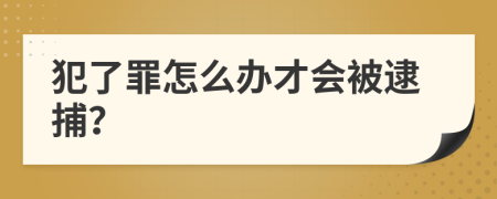 犯了罪怎么办才会被逮捕？