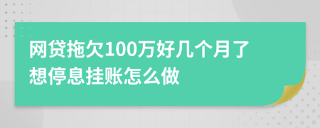 网贷拖欠100万好几个月了想停息挂账怎么做